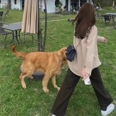 无相之城